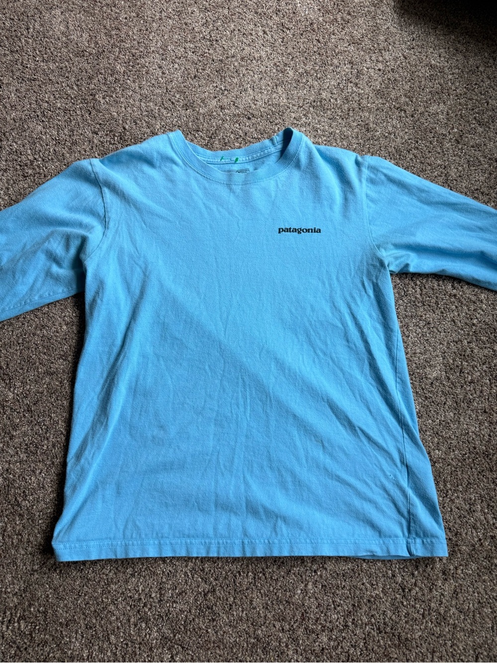 Patagonia Women’s Long Sleeve Tee in Sky Blue with Small Logo